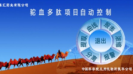案例展示